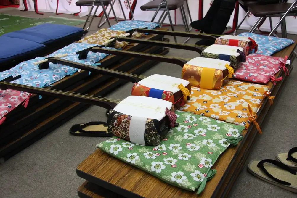 A row of differently colored shamisen on cusions.